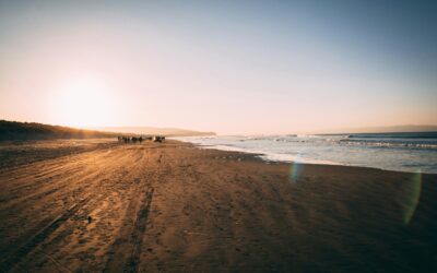 CBT Near Me – How Therapy Can Help You Feel More in Control